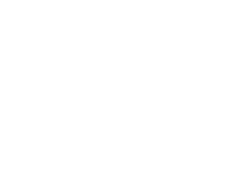 Wild Wetzikon